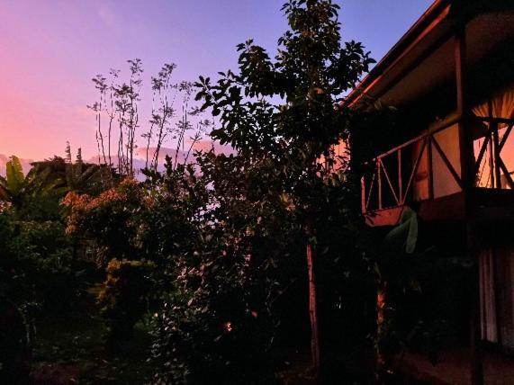 Marari Rapa Nui Hotel Hanga Roa Ngoại thất bức ảnh