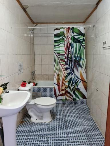 Marari Rapa Nui Hotel Hanga Roa Ngoại thất bức ảnh
